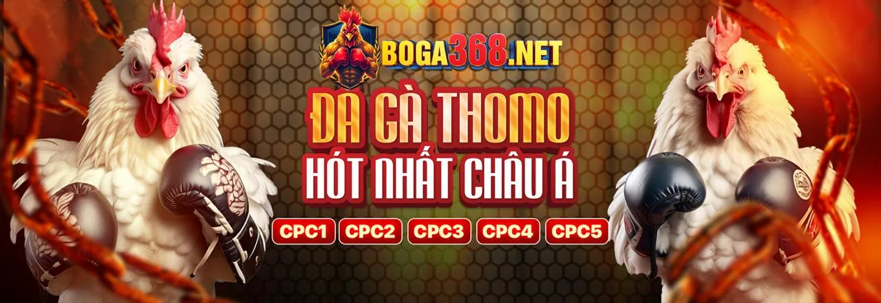 Đá Gà Trực Tuyến 79king 4